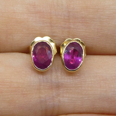1.23ct Oval Red Ruby Stud Earrings set in 14k Yellow Gold - Skyjems Wholesale Gemstones