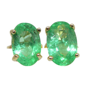 0.91ct Oval Green Colombian Emerald Stud Earrings set in 14k Yellow Gold - Skyjems Wholesale Gemstones