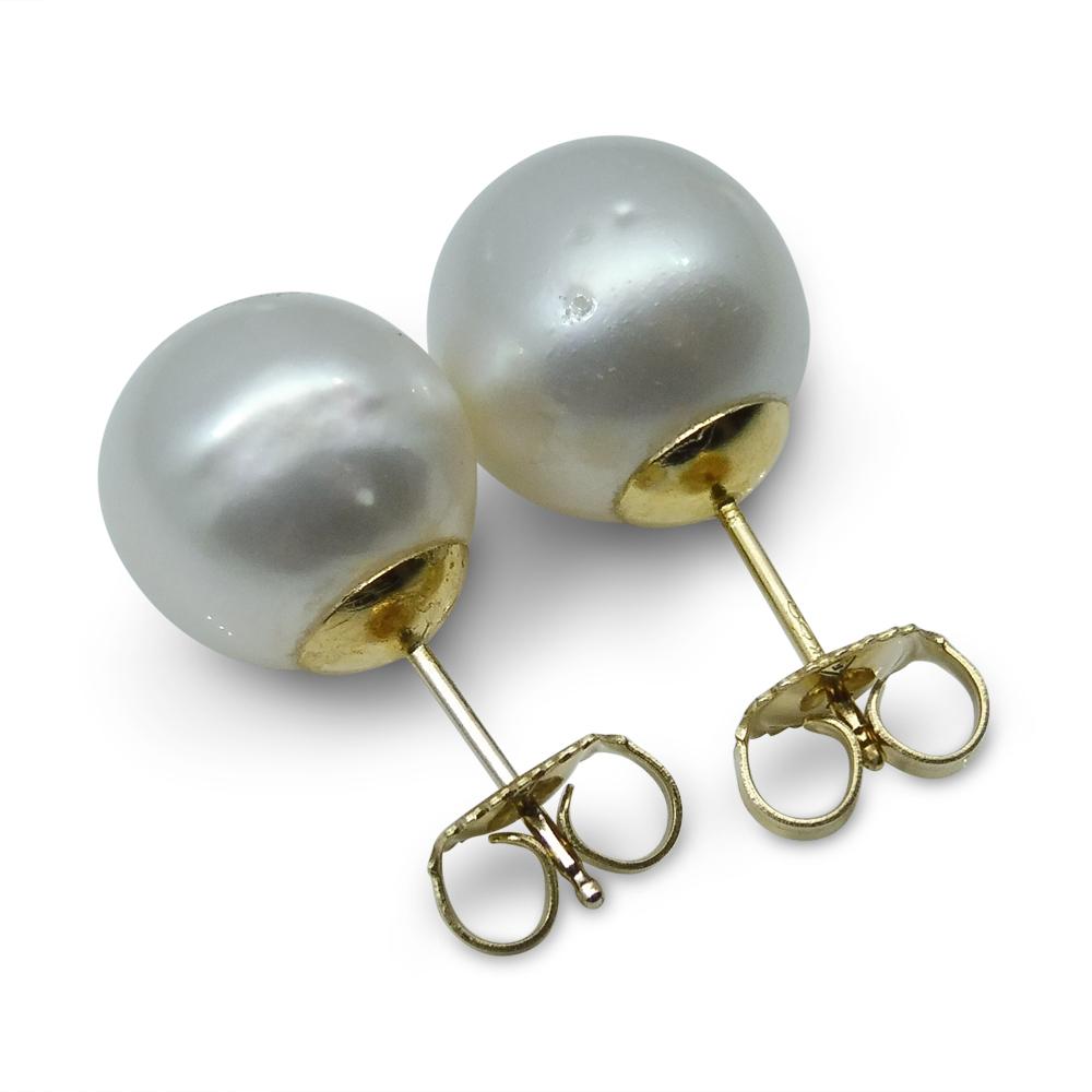 9mm White South Sea Pearl Earrings in 14kt Yellow Gold - Skyjems Wholesale Gemstones