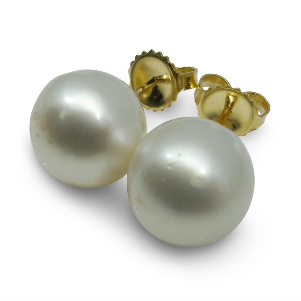 11mm White South Sea Pearl Earrings in 14kt Yellow Gold - Skyjems Wholesale Gemstones