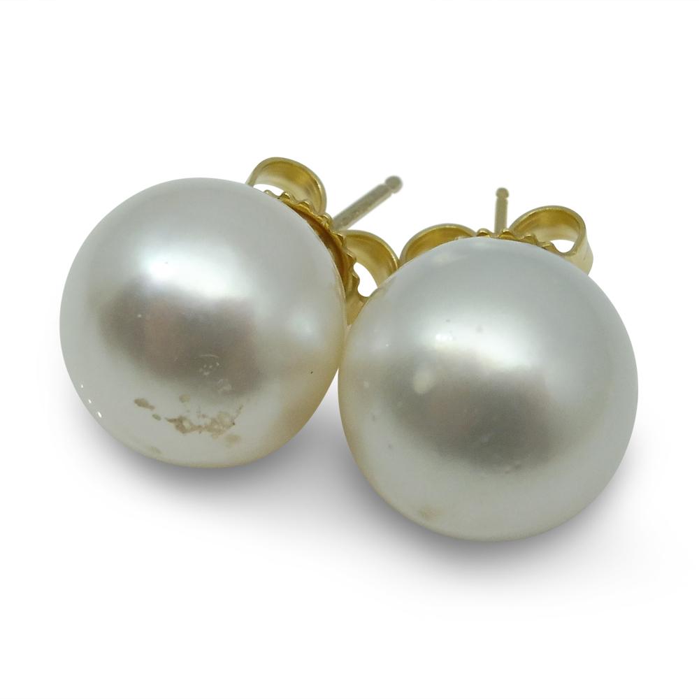 9mm White South Sea Pearl Earrings in 14kt Yellow Gold - Skyjems Wholesale Gemstones