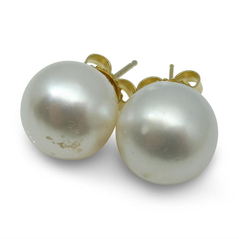 9mm White South Sea Pearl Earrings in 14k Yellow Gold