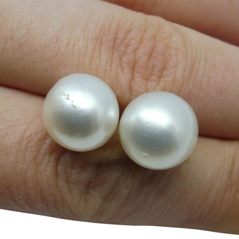 9mm White South Sea Pearl Earrings in 14kt Yellow Gold - Skyjems Wholesale Gemstones