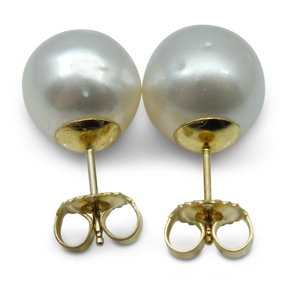 12mm White South Sea Pearl Earrings in 14kt Yellow Gold - Skyjems Wholesale Gemstones