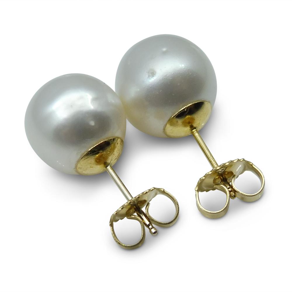 12mm White South Sea Pearl Earrings in 14kt Yellow Gold - Skyjems Wholesale Gemstones