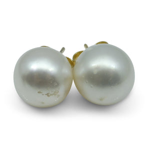 12mm White South Sea Pearl Earrings in 14kt Yellow Gold - Skyjems Wholesale Gemstones