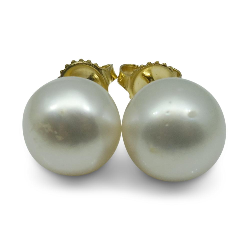 12mm White South Sea Pearl Earrings in 14kt Yellow Gold - Skyjems Wholesale Gemstones