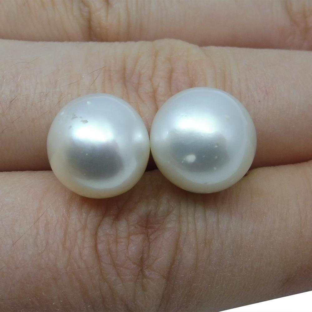 12mm White South Sea Pearl Earrings in 14kt Yellow Gold - Skyjems Wholesale Gemstones