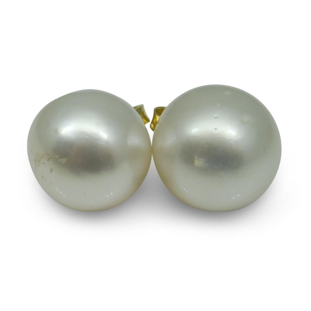 12mm White South Sea Pearl Earrings in 14kt Yellow Gold - Skyjems Wholesale Gemstones