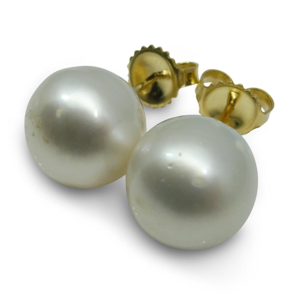 12mm White South Sea Pearl Earrings in 14kt Yellow Gold - Skyjems Wholesale Gemstones