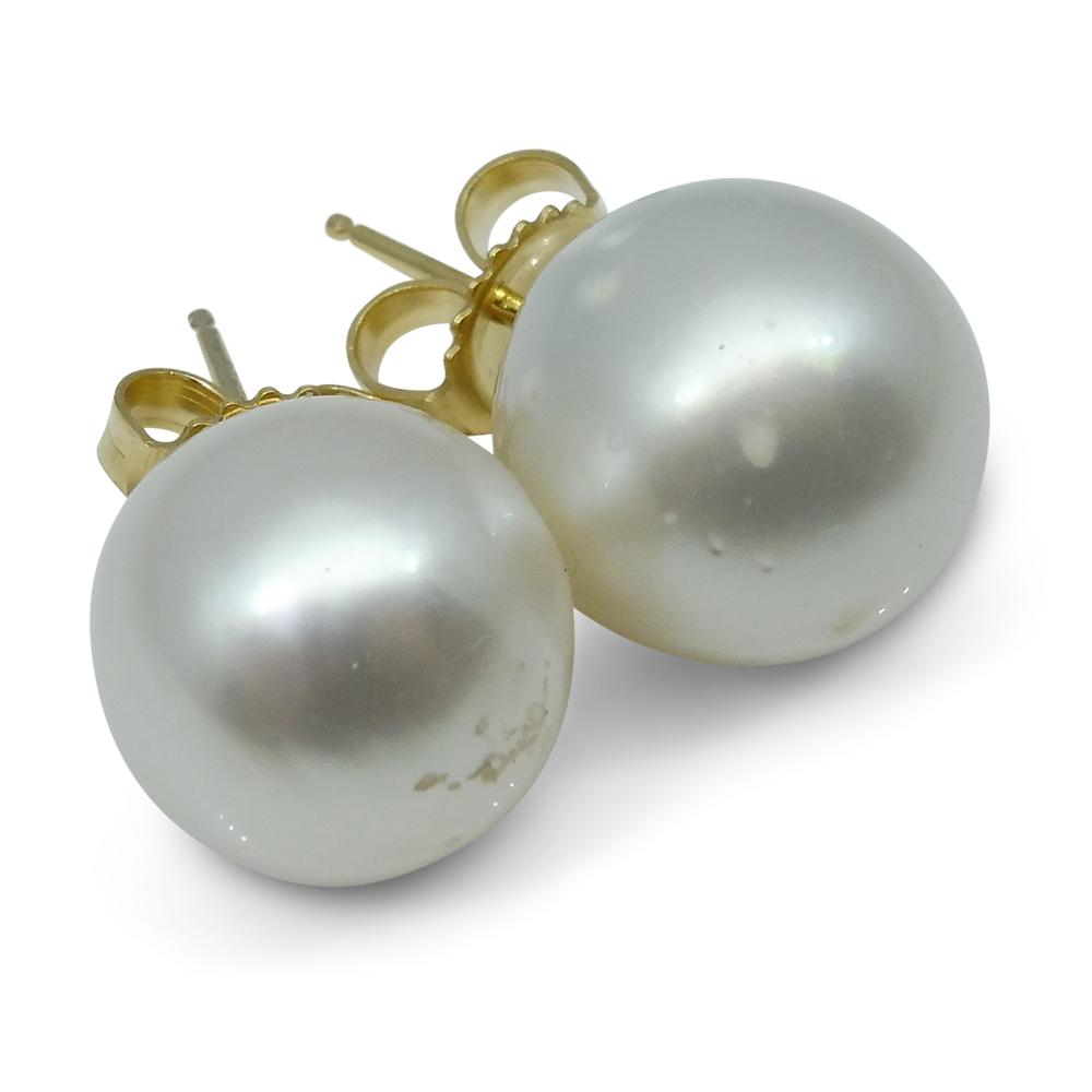 12mm White South Sea Pearl Earrings in 14kt Yellow Gold - Skyjems Wholesale Gemstones