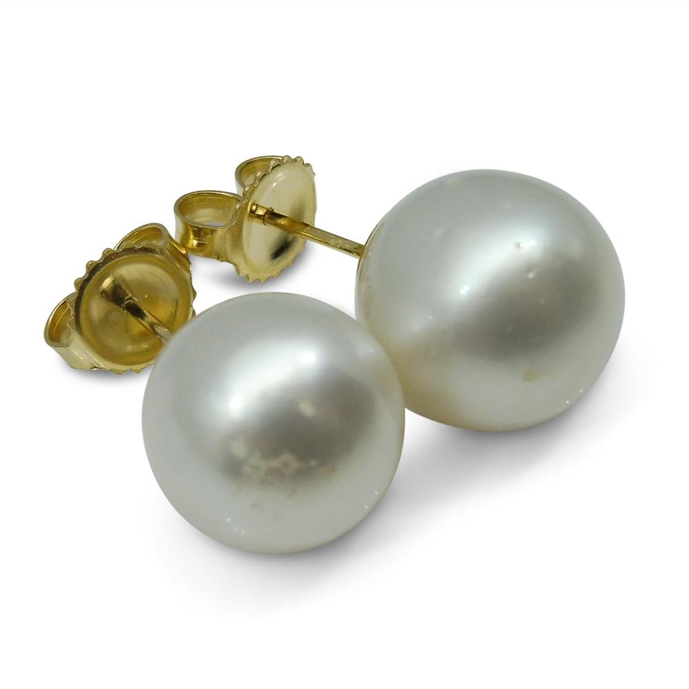 12mm White South Sea Pearl Earrings in 14kt Yellow Gold - Skyjems Wholesale Gemstones