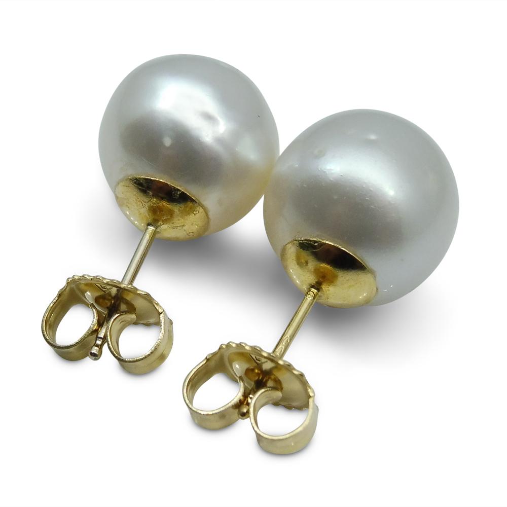 12mm White South Sea Pearl Earrings in 14kt Yellow Gold - Skyjems Wholesale Gemstones