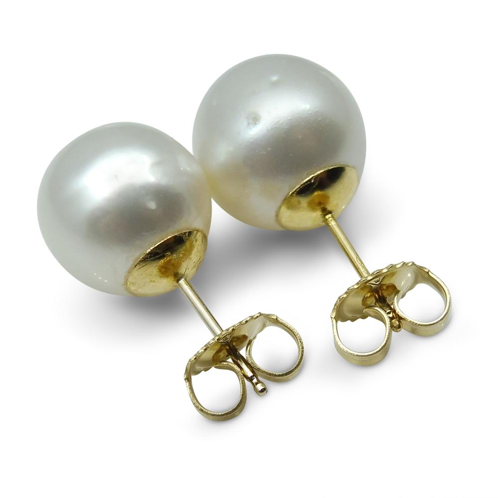 11mm White South Sea Pearl Earrings in 14kt Yellow Gold - Skyjems Wholesale Gemstones