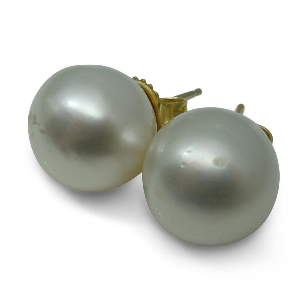 11mm White South Sea Pearl Earrings in 14kt Yellow Gold - Skyjems Wholesale Gemstones