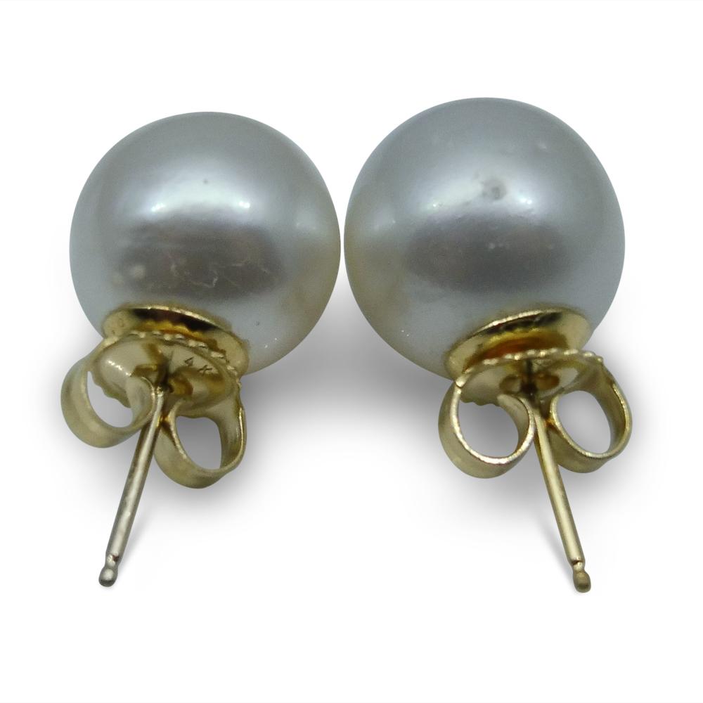 9mm White South Sea Pearl Earrings in 14kt Yellow Gold - Skyjems Wholesale Gemstones