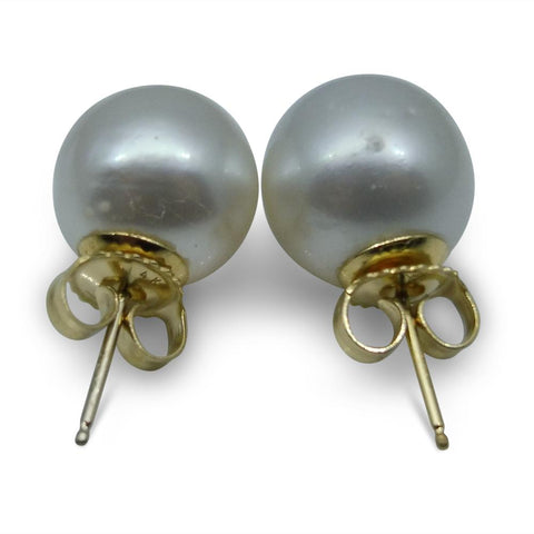 9mm White South Sea Pearl Earrings in 14k Yellow Gold