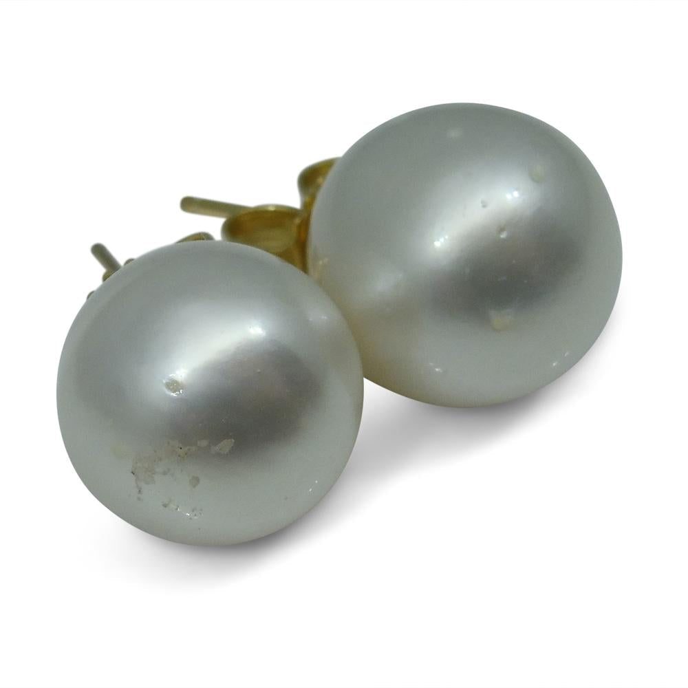 11mm White South Sea Pearl Earrings in 14kt Yellow Gold - Skyjems Wholesale Gemstones