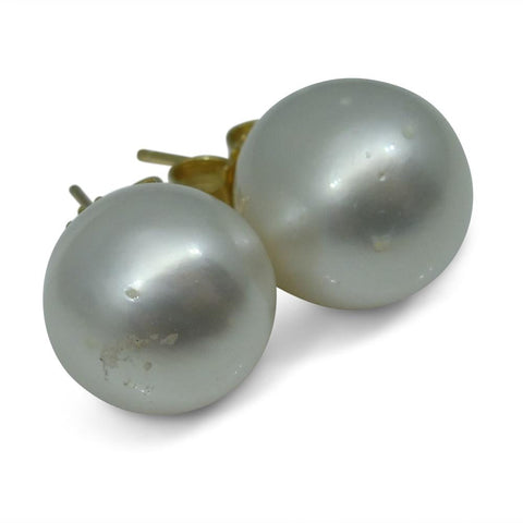 11mm White South Sea Pearl Earrings in 14k Yellow Gold