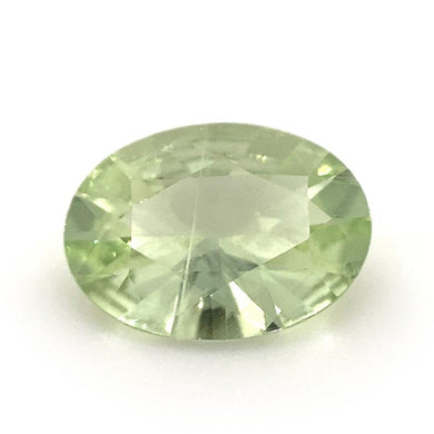1.93ct Oval Mint Green Garnet from Merelani, Tanzania - Skyjems Wholesale Gemstones