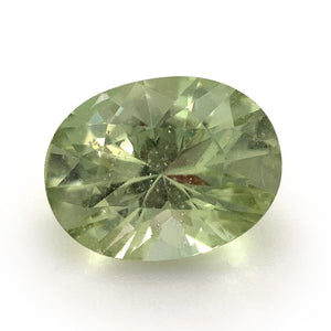 2.39ct Oval Mint Green Garnet from Merelani, Tanzania - Skyjems Wholesale Gemstones