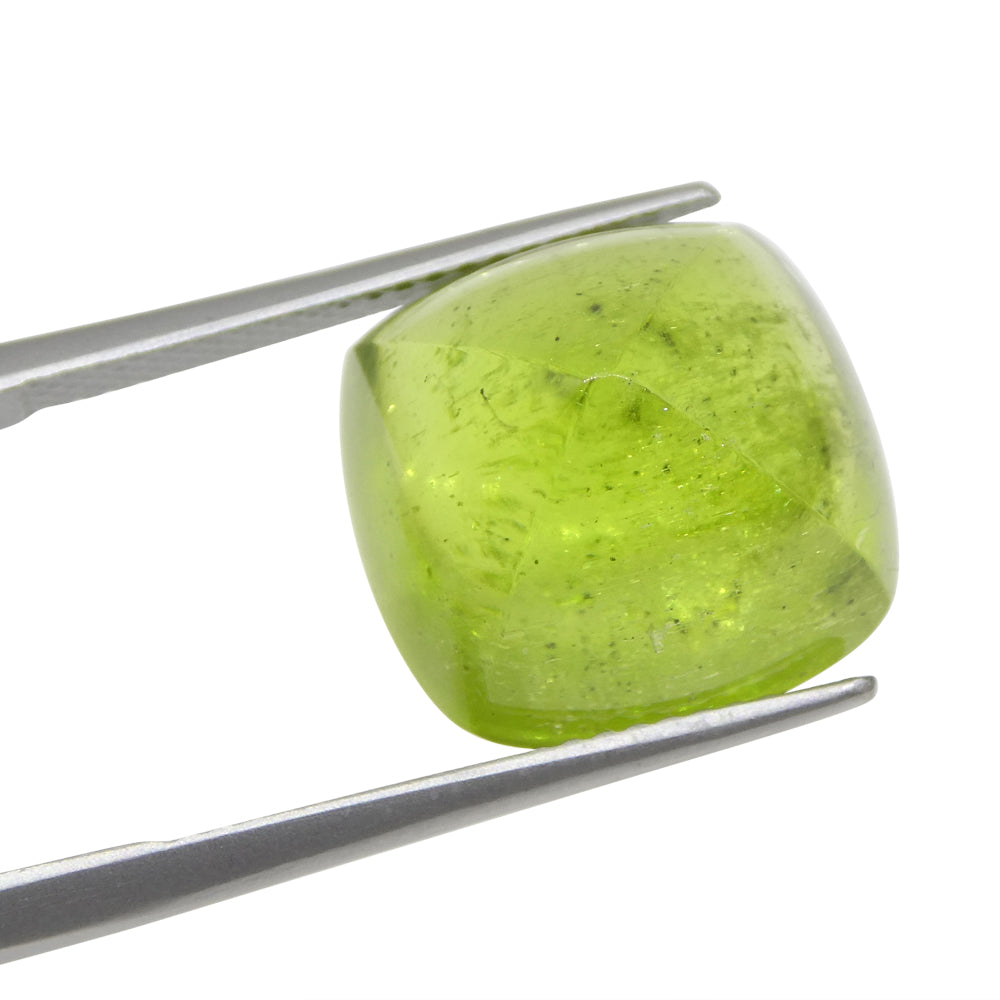 13.36ct Yellow-Green Peridot Cushion Sugarloaf Cabochon from Pakistan, premium gemstone by SkyJems Canadian gem experts