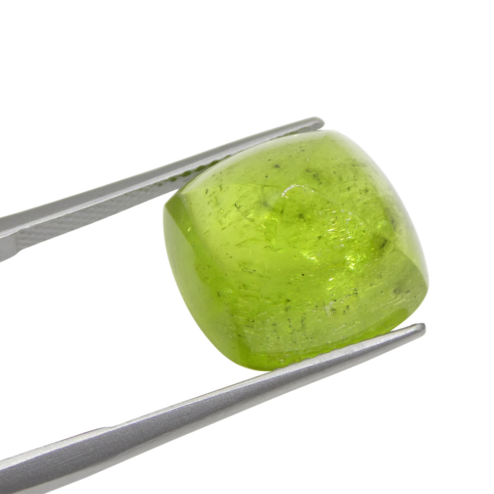 13.36ct Cushion Sugarloaf Cabochon Yellow-Green Peridot from Sapat Gali, Pakistan - Skyjems Wholesale Gemstones