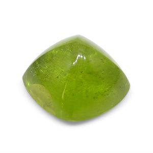 13.36ct Cushion Sugarloaf Cabochon Yellow-Green Peridot from Sapat Gali, Pakistan - Skyjems Wholesale Gemstones