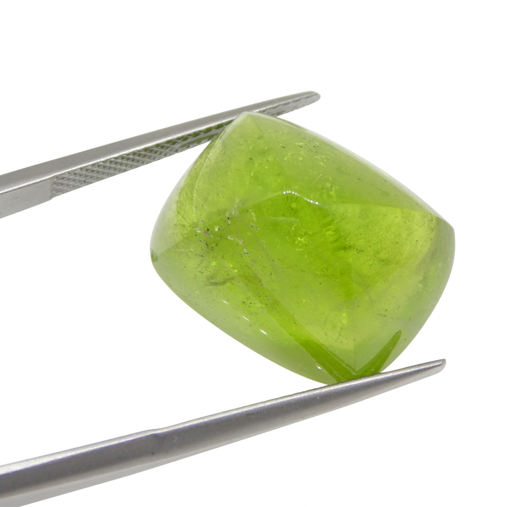 28.37ct Yellow-Green Peridot Cushion Sugarloaf Cabochon from Pakistan, premium gemstone by SkyJems Canadian gem specialists
