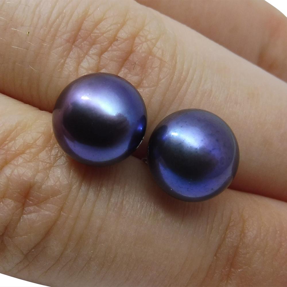 Sterling Silver 9mm Pair Natural Peacock Pearl Stud Earrings - Skyjems Wholesale Gemstones