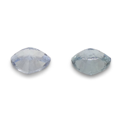 0.8ct Trillion Blue Sapphire from Sri Lanka