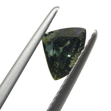 1.21ct Elongated Trillion Green Sapphire from Umba, Tanzania - Skyjems Wholesale Gemstones