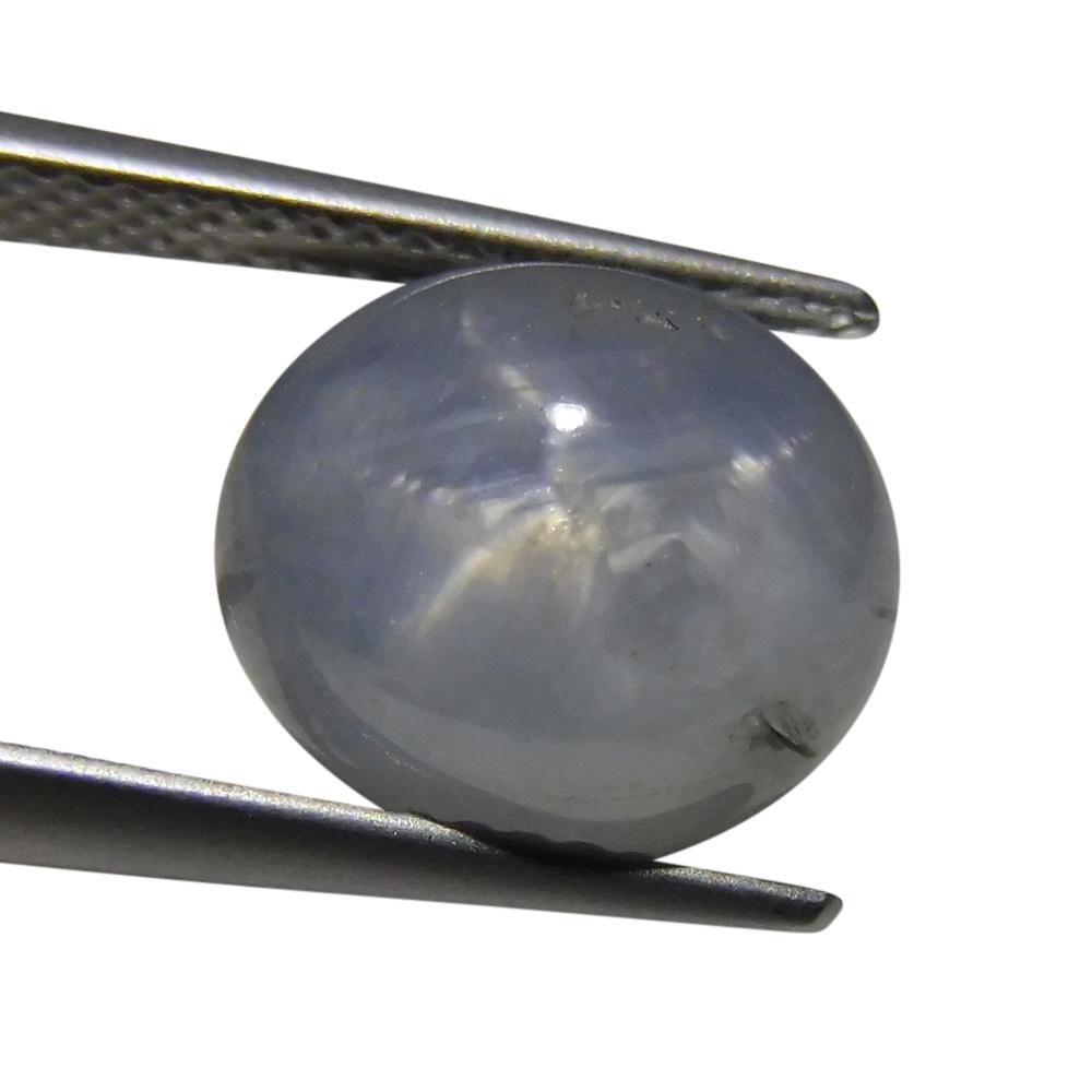 7.02 ct Oval Star Sapphire - Skyjems Wholesale Gemstones