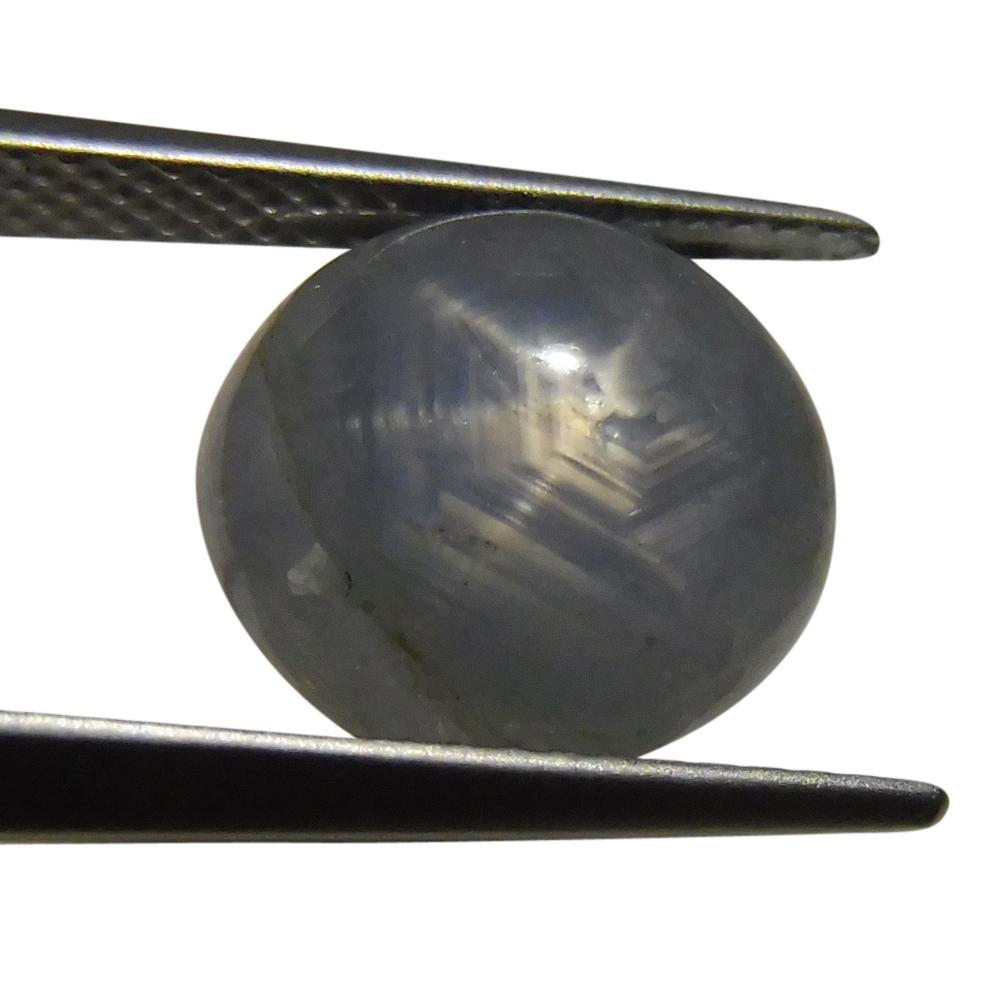 6.86 ct Oval Star Sapphire - Skyjems Wholesale Gemstones