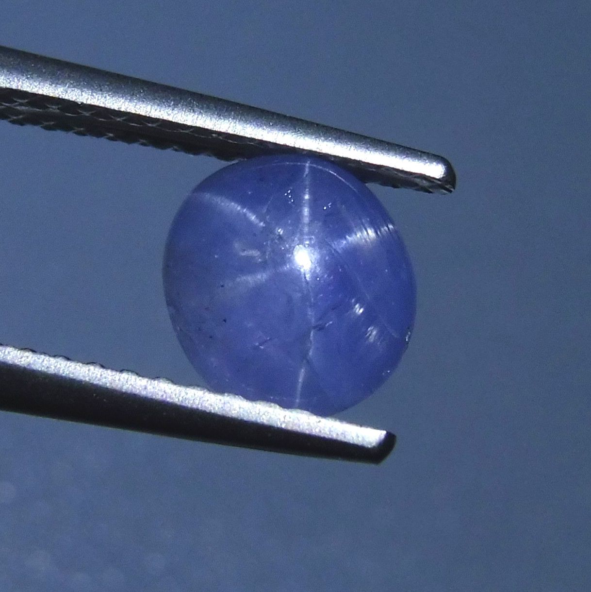 1.72 ct Oval Star Sapphire - Skyjems Wholesale Gemstones