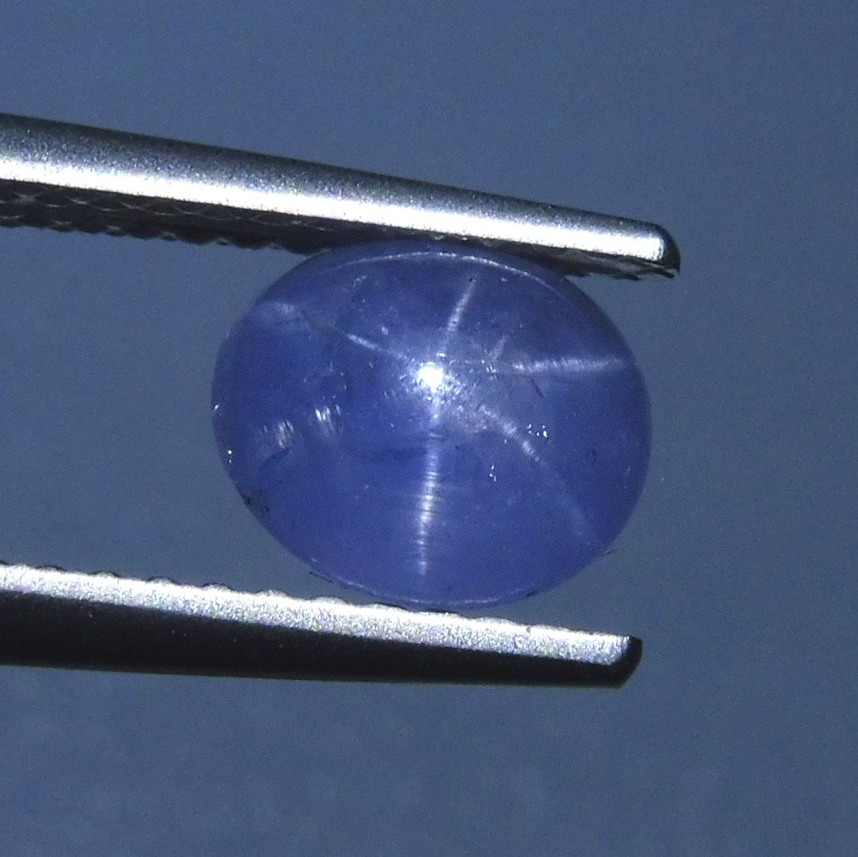 1.72 ct Oval Star Sapphire - Skyjems Wholesale Gemstones