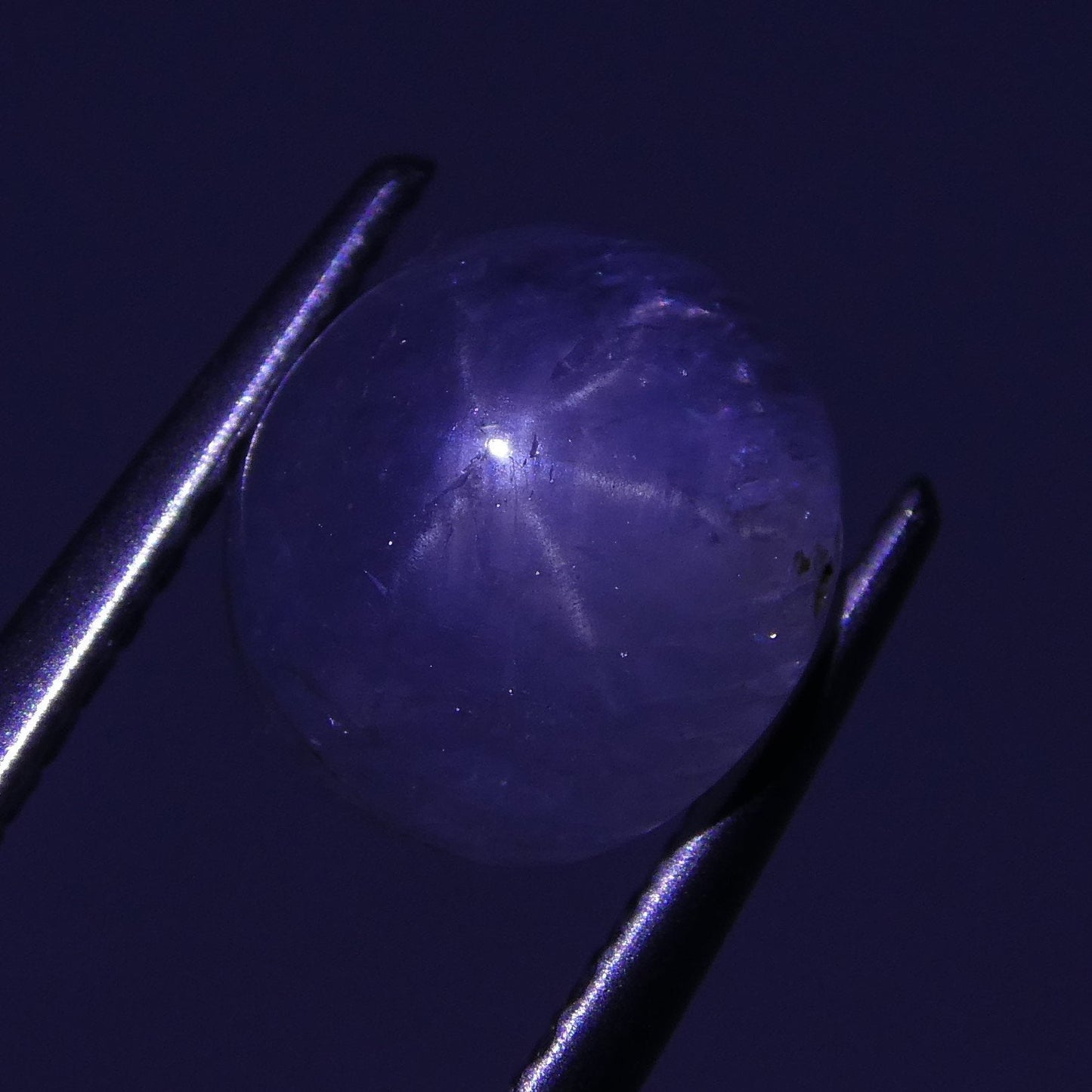 3.12 ct Unheated Blue Ceylon Star Sapphire - Skyjems Wholesale Gemstones