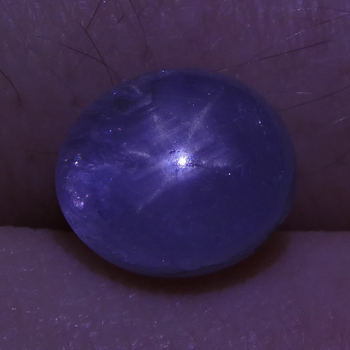 3.12 ct Blue Ceylon Star Sapphire, unheated oval cabochon with asterism, rare gem from Sri Lanka by SkyJems