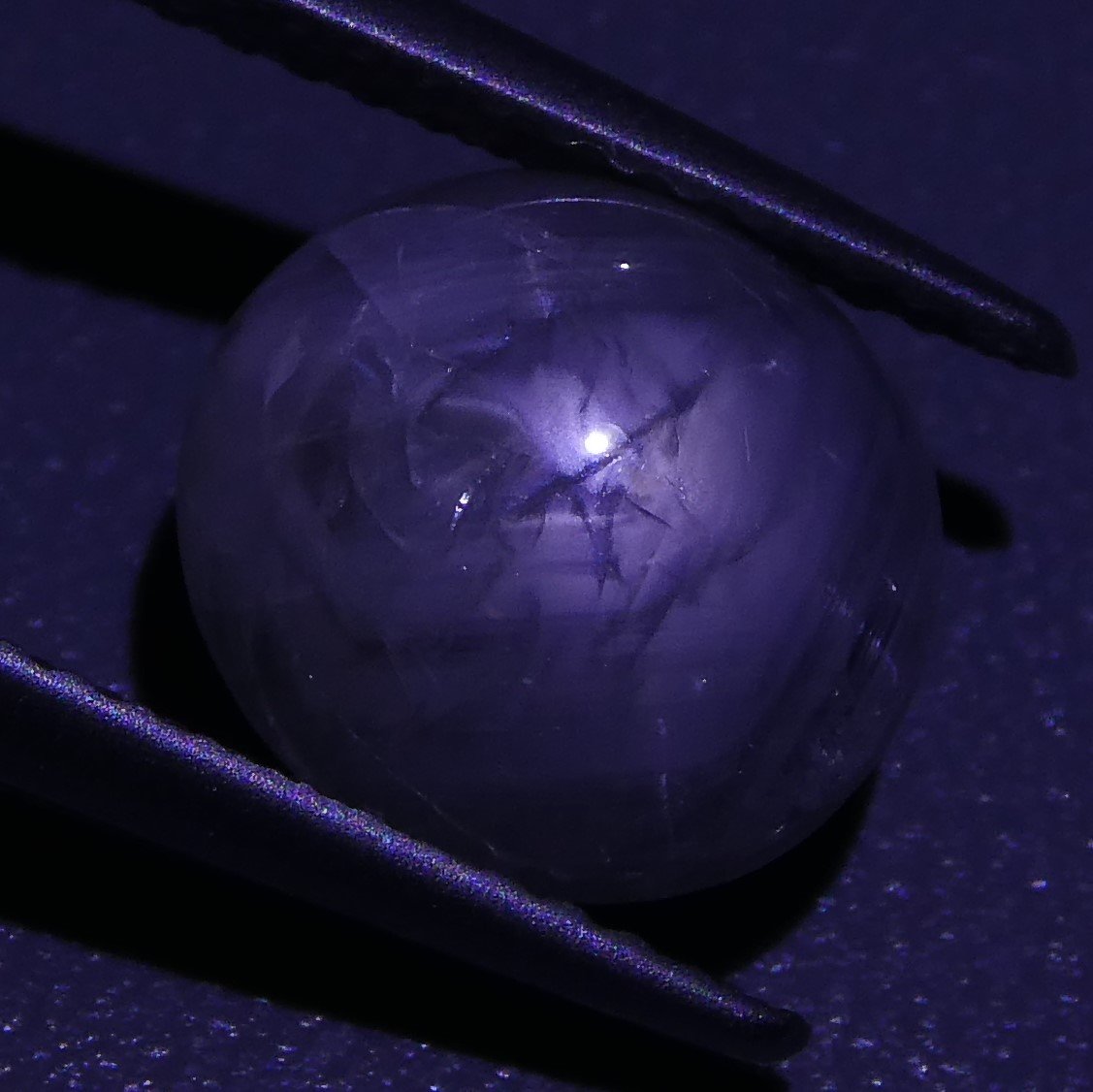 5.41 ct Unheated Blue Ceylon Star Sapphire - Skyjems Wholesale Gemstones