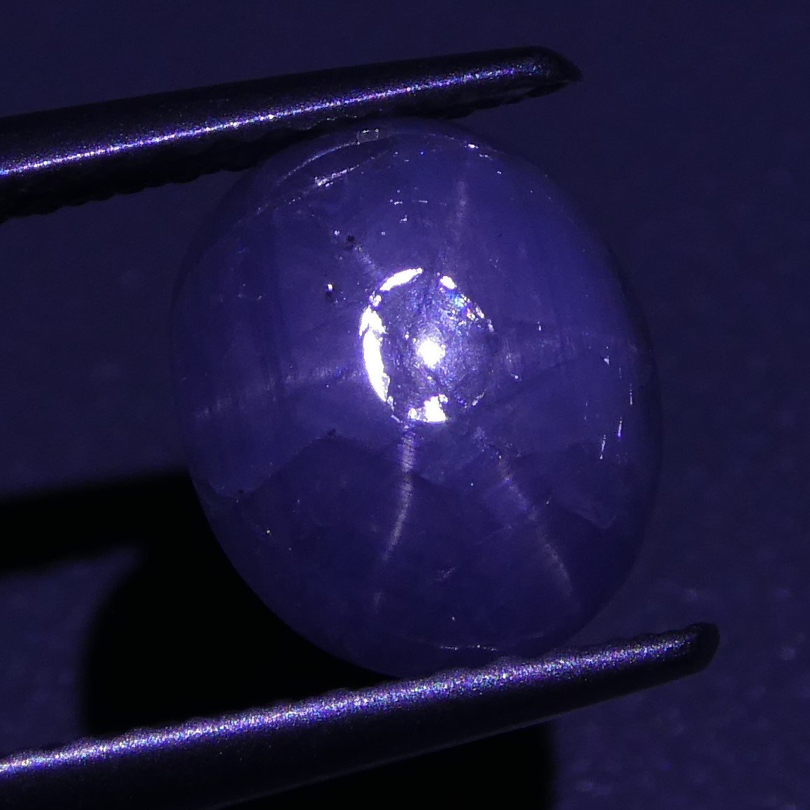 3.60 ct Unheated Blue Ceylon Star Sapphire - Skyjems Wholesale Gemstones