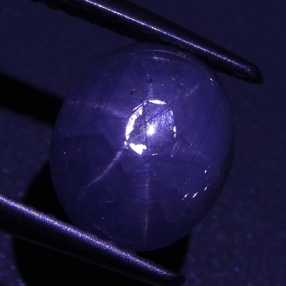 Rare 3.60 ct Blue Ceylon Star Sapphire, unheated oval cabochon with asterism, SkyJems premium gemstone collection