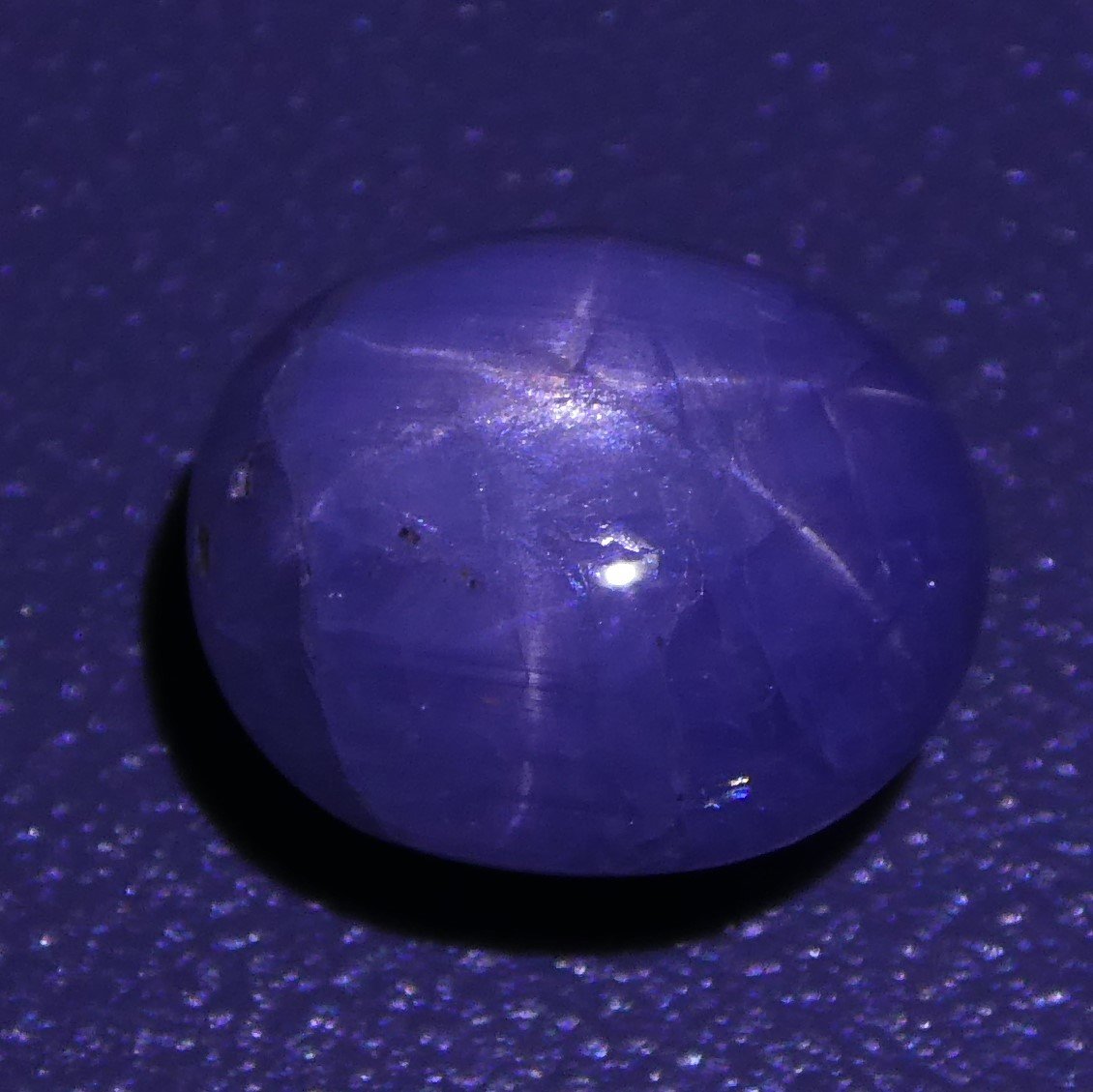 Rare 3.60 ct Blue Ceylon Star Sapphire, unheated oval cabochon with asterism, SkyJems premium gemstone collection