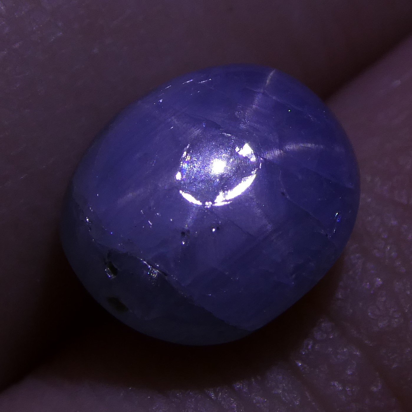 Rare 3.60 ct Blue Ceylon Star Sapphire, unheated oval cabochon with asterism, SkyJems premium gemstone collection