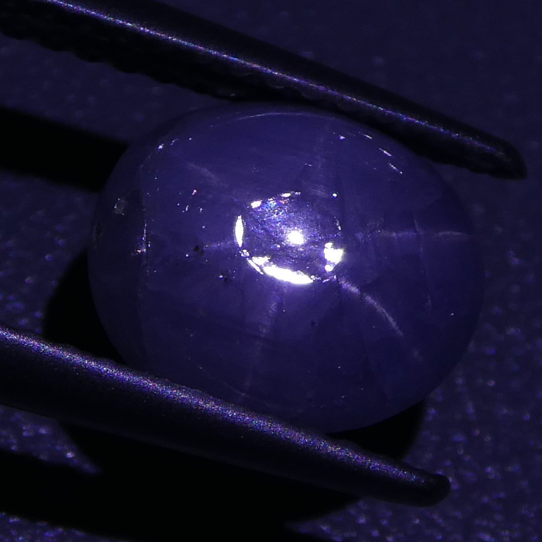 Rare 3.60 ct Blue Ceylon Star Sapphire, unheated oval cabochon with asterism, SkyJems premium gemstone collection
