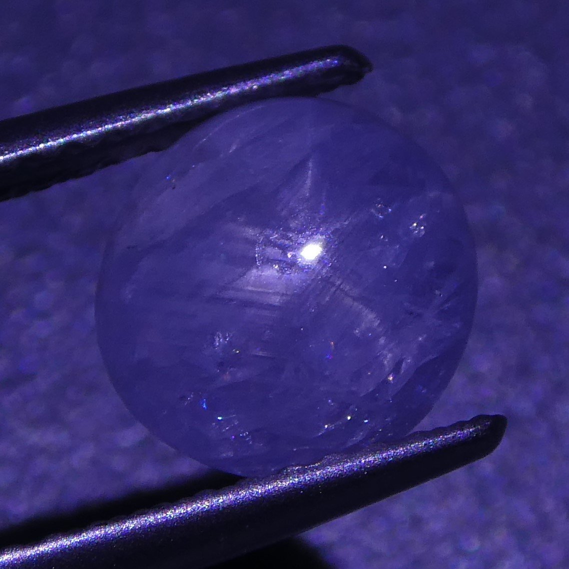 2.39 ct Unheated Blue Ceylon Star Sapphire - Skyjems Wholesale Gemstones