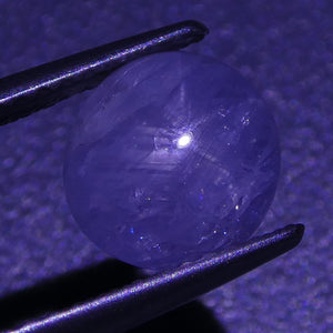 2.39 ct Unheated Blue Ceylon Star Sapphire - Skyjems Wholesale Gemstones