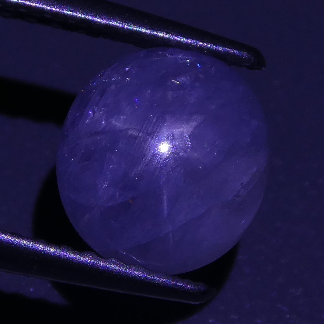 2.39 ct Unheated Blue Ceylon Star Sapphire - Skyjems Wholesale Gemstones