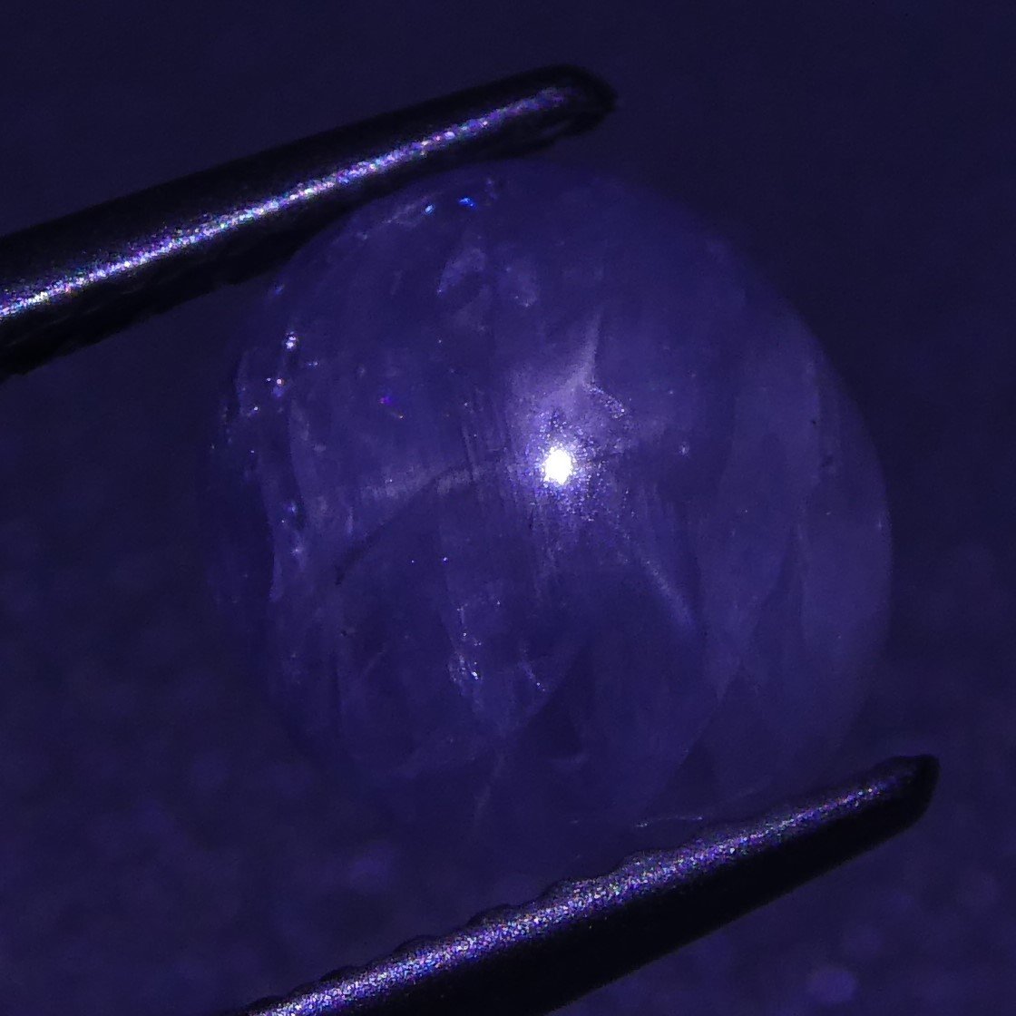 2.39 ct Unheated Blue Ceylon Star Sapphire - Skyjems Wholesale Gemstones