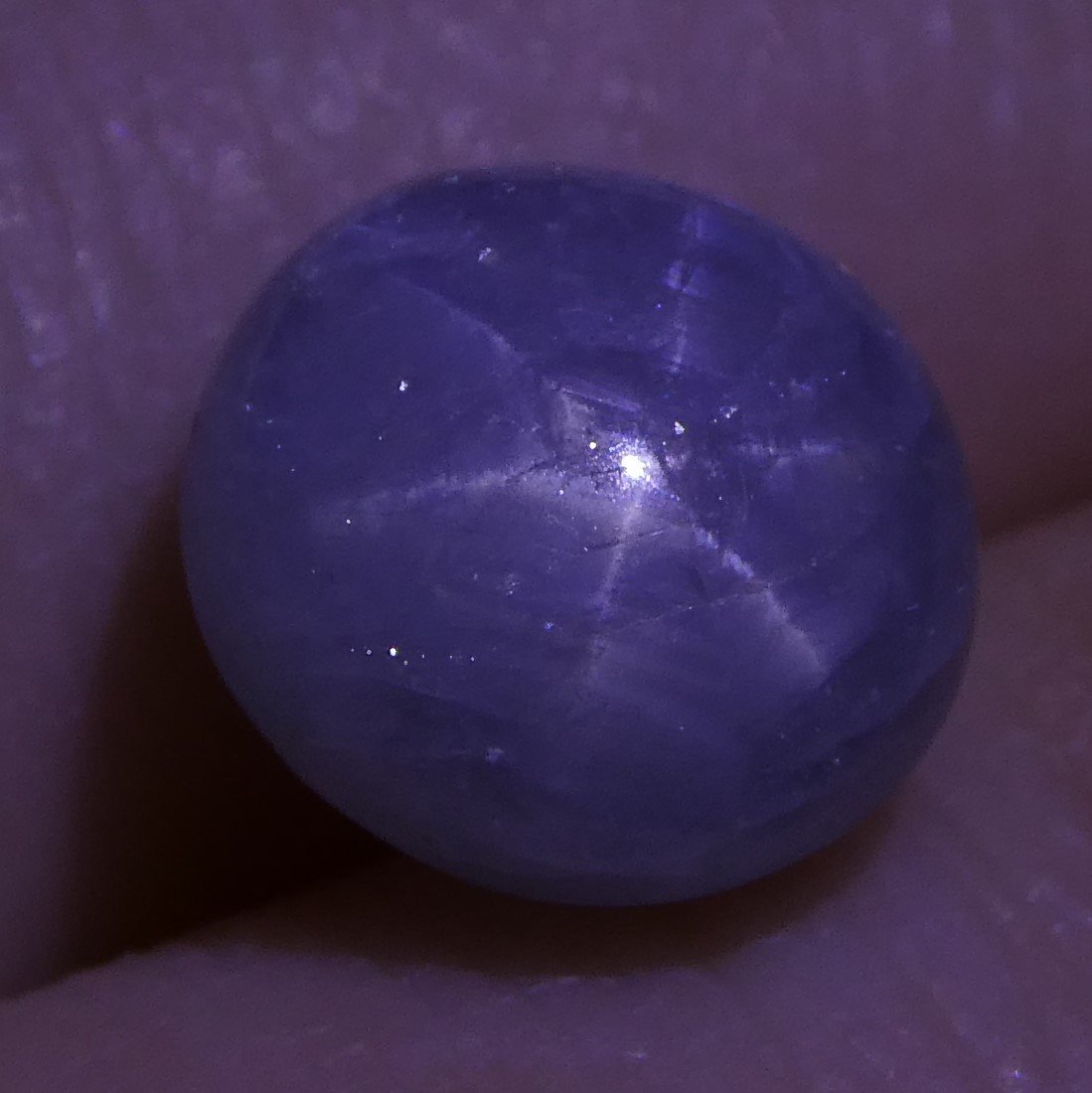 Rare 3.81 ct Blue Ceylon Star Sapphire, unheated oval cabochon with asterism, SkyJems premium gemstone collection