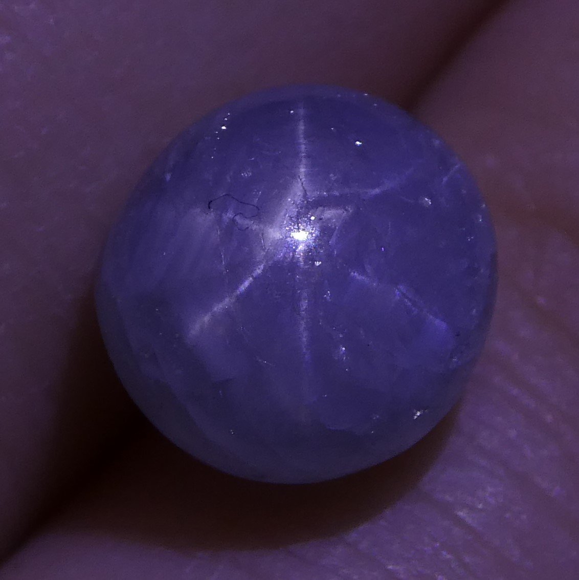 3.81 ct Unheated Blue Ceylon Star Sapphire - Skyjems Wholesale Gemstones